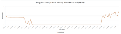 Electricity Usage Profile Actual